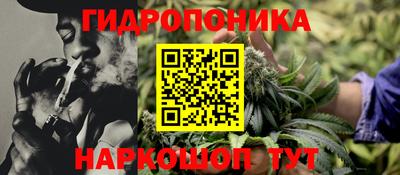твердый Лесосибирск