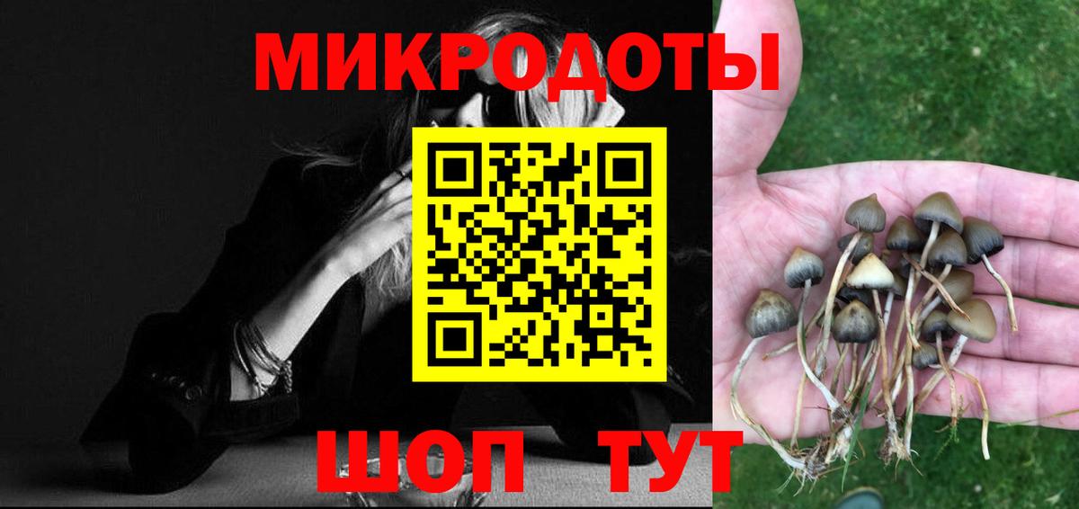 Псилоцибиновые грибы прущие грибы Россия